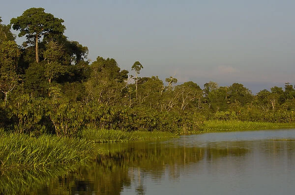 Jungle lake close to Yasuni National Park. Napo River Amazon Rain Forest. ECUADOR
