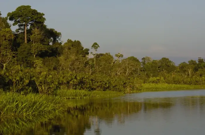 Framed Print : Jungle lake close to Yasuni National Park. Napo River Amazon Rain Forest. ECUADOR