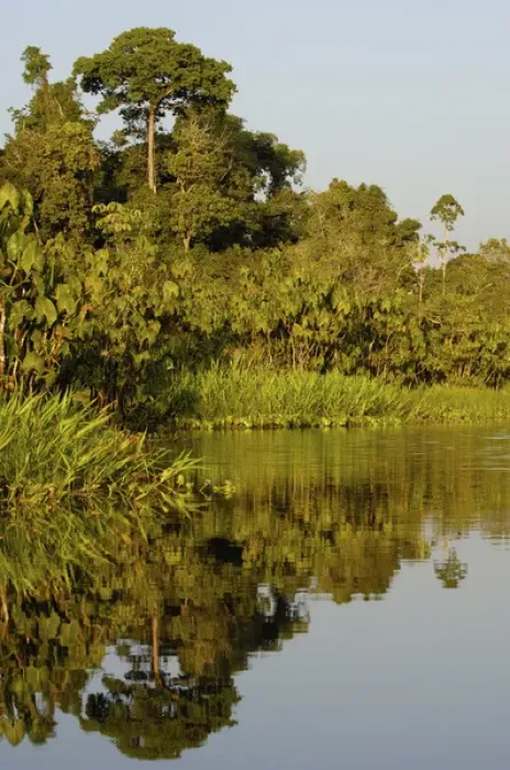 Framed Print : Jungle lake close to Yasuni National Park. Napo River Amazon Rain Forest. ECUADOR