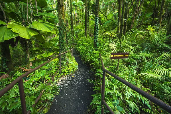 Jungle trail at Hawaii Tropical Botanical Garden, Hamakua Coast, The Big Island