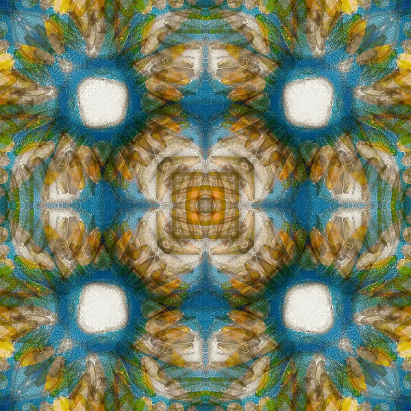 Kaleidoscope abstract