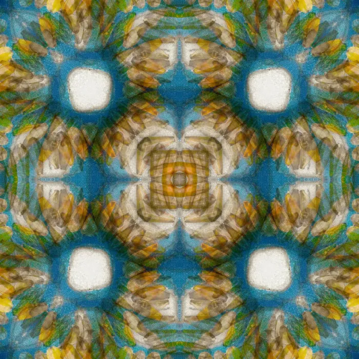 Framed Print : Kaleidoscope abstract