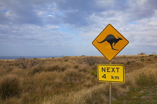 Kangaroo caution road sign along the Great Ocean Road, Australia