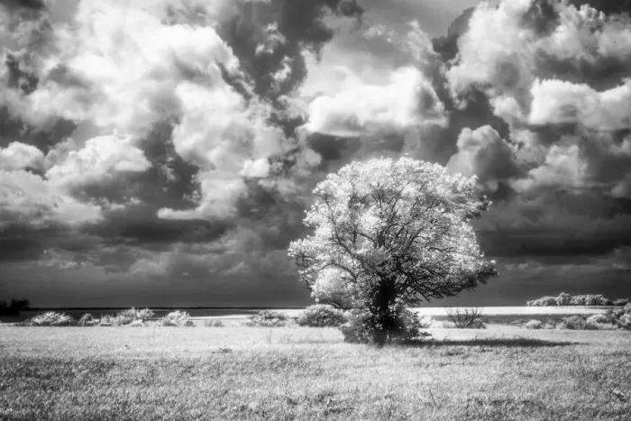 Framed Print : Kansas plains glowing with sun before the approaching storm arrives Framed Print : Kansas plains glowing with sun before the approaching storm arrives