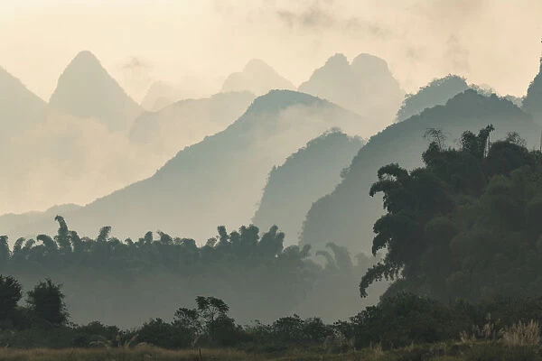 Karst formations and bamboo trees silhouetted in morning mist, Li River at sunrise