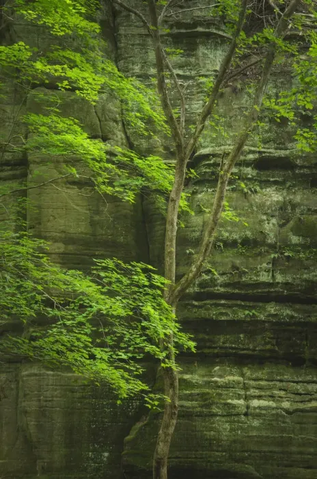 Framed Print : Kaskaskia Canyon, Starved Rock State Park, LaSalle County, Illinois