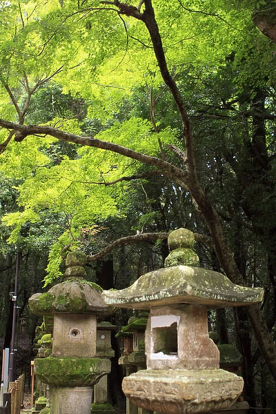 Kasuga-Taisha Shrine in Nara, Japan is famous for its large number of ancient stone
