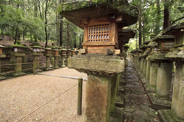 Kasuga Taisha Shrine in Nara, Japan is famous for its large number of decorate stone lanterns