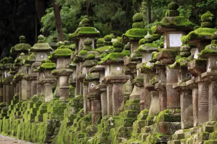 Framed Print : Kasuga-Taisha Shrine in Nara, Japan is famous for its large number of ancient stone Framed Print : Kasuga-Taisha Shrine in Nara, Japan is famous for its large number of ancient stone