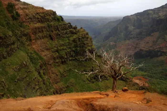 Framed Print : Kauai, Hawaii. Some amazing hiking through Waimea Canyon. Waimea canyon is the largest