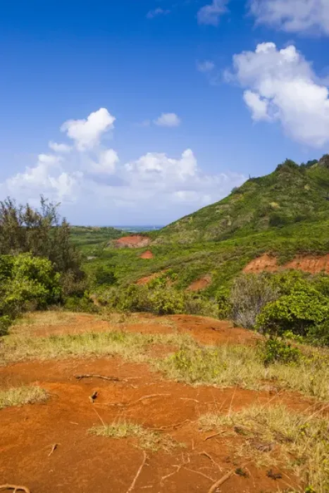 Framed Print : Kauai, Hawaii, USA. The Ha upu mountain range is in the background of this location Framed Print : Kauai, Hawaii, USA. The Ha upu mountain range is in the background of this location