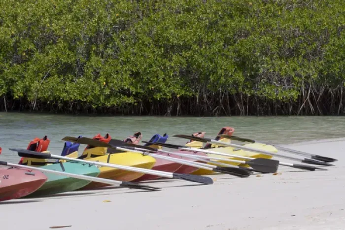 Framed Print : Kayaks at Tortuga Bay, Santa Cruz Island, Galapagos Islands Framed Print : Kayaks at Tortuga Bay, Santa Cruz Island, Galapagos Islands