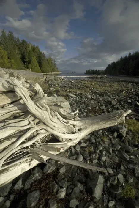 Framed Print : Keith Island, Broken Island Group, Pacific Rim National Park Preserve, British Columbia