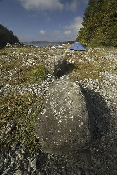 Keith Island Campsite, Broken Island Group, Pacific Rim National Park Preserve, British Columbia