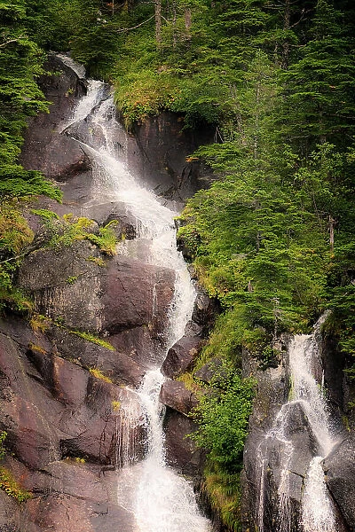 Kenai Peninsula. Two waterfalls surrounded by pine trees