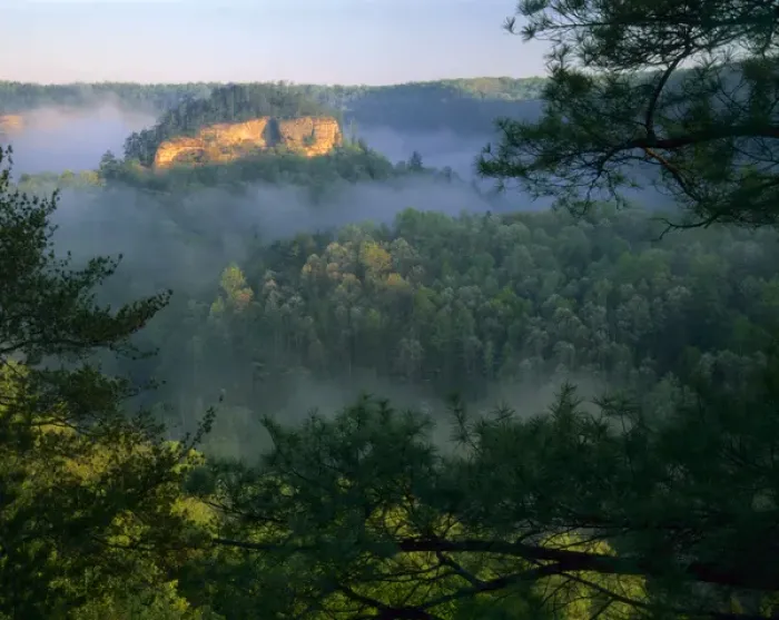 Framed Print : KENTUCKY. USA. Fog at sunrise, Red River Gorge. Daniel Boone National Forest Framed Print : KENTUCKY. USA. Fog at sunrise, Red River Gorge. Daniel Boone National Forest