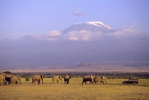 Kenya: Amboseli National Park, elephants and safari vehicle with Mt Kilimanjaro in distance