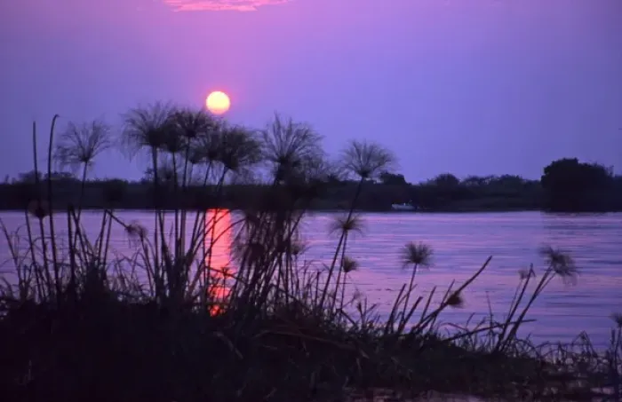 Framed Print : Kenya. Sunset reflects on water through silhouetted reeds