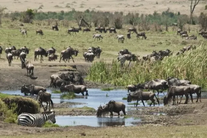 Framed Print : Kenya, No Water