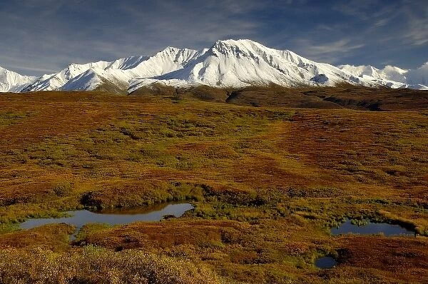 Kettle ponds and tundra in fall foliage front snow-capped peaks in the Alaska Range