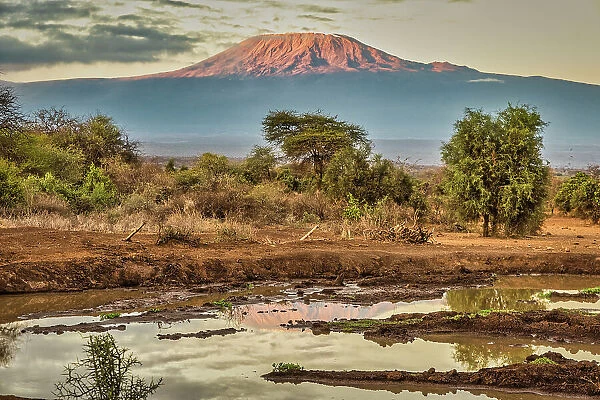Kilimanjaro in morning, Amboseli National Park, Africa