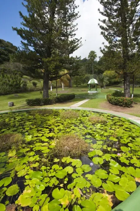 Framed Print : Kingstown Botanical gardens, St. Vincent & The Grenadines