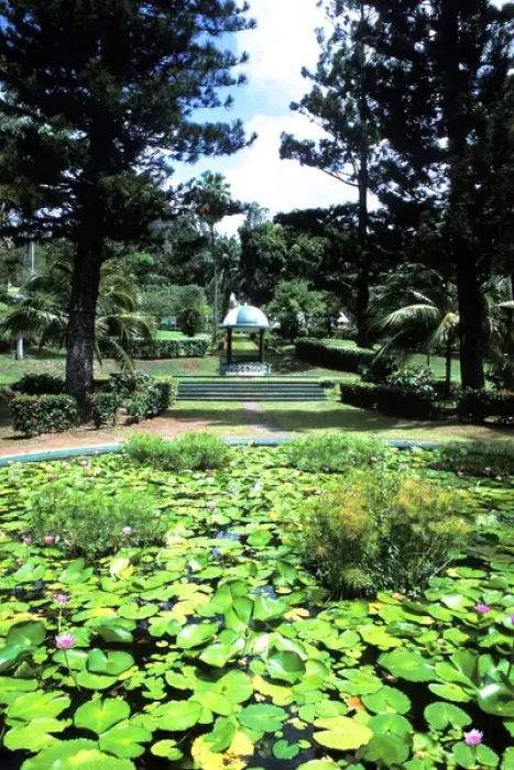 Framed Print : Kingstowns lush green Botanical Gardens in St. Vincent and the Grenadines