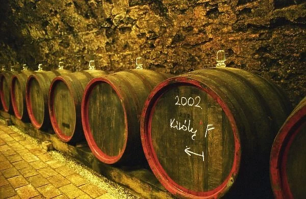 The Kiralyudvar winery: Barrels with Tokaj wine with glass bung hole stoppers in the ageing cellar