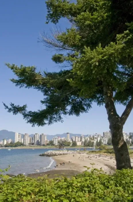 Framed Print : Kitsilano Beach park overlooking English Bay and the skyline of downtown Vancouver, BC, Canada
