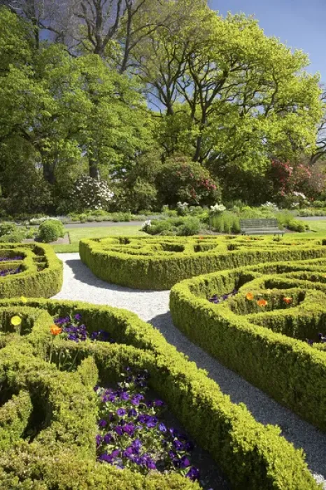 Framed Print : Knot Garden, Dunedin Botanic Garden, Dunedin, South Island, New Zealand