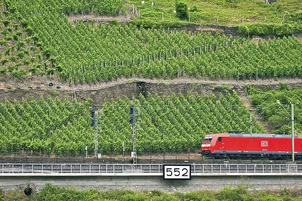 Koblenz, Germany, a high speed train rushes by Rhineland Vineyards along the bank