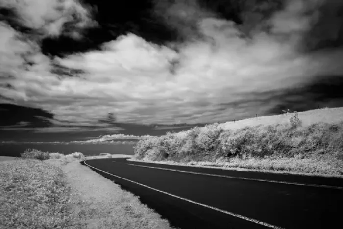 Framed Print : kohala mountain road, The Big Island, Hawaii, USA
