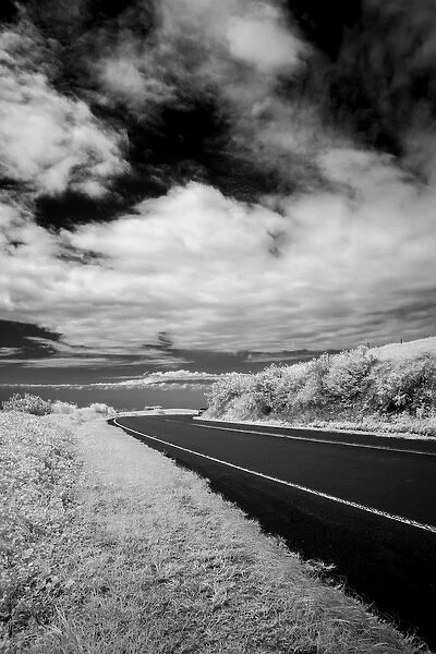 Kohala mountain road disappears in the distance, The Big Island, Hawaii, USA