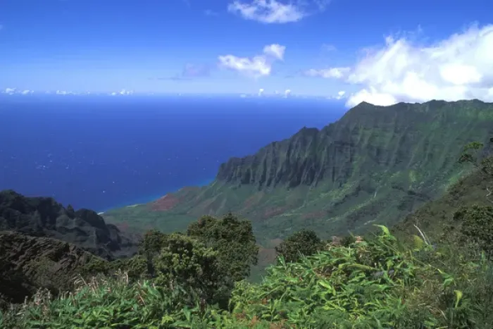 Framed Print : Kokee State Park, Honopu Valley, Kauai, Hawaii