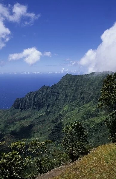 Kokee State Park in Honopu Valley, Kauai, Hawaii