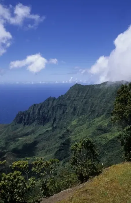 Framed Print : Kokee State Park in Honopu Valley, Kauai, Hawaii