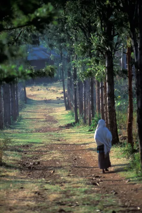 Framed Print : A Konso villager walks down a dirt road that leads to a small Konso village, in