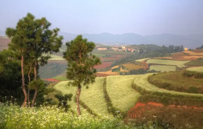 Framed Print : Kunming Dongchuan Red Land area landscape of crop land and rolling hills Framed Print : Kunming Dongchuan Red Land area landscape of crop land and rolling hills