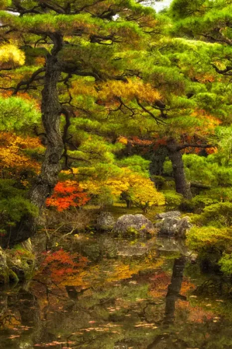 Framed Print : Kyoto, Japan, Fall colors and reflection in water