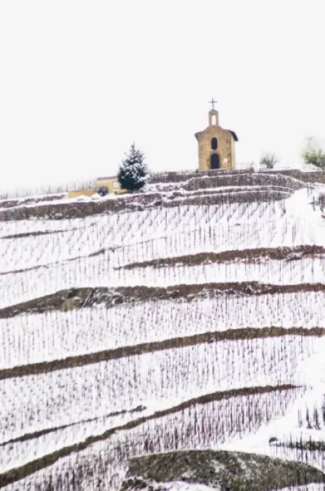 Framed Print : The La Chapelle chapel on top of the hill and hermitage vineyard. The Hermitage vineyards Framed Print : The La Chapelle chapel on top of the hill and hermitage vineyard. The Hermitage vineyards