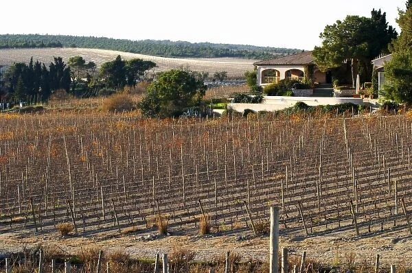 La Clape. Languedoc. Domaine Mas du Soleilla. The villa. The main building. The vineyard