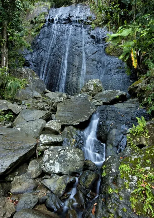 Framed Print : La Coca waterfall, El Yunque NF. Puerto Rico Framed Print : La Coca waterfall, El Yunque NF. Puerto Rico