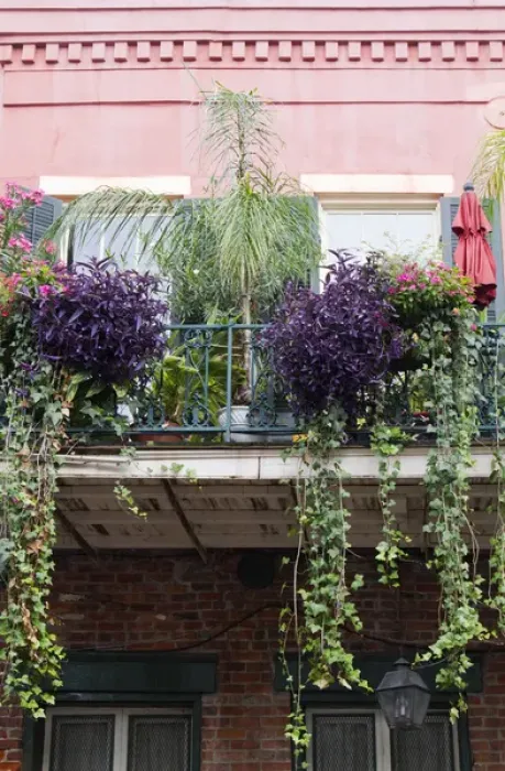 Framed Print : LA, New Orleans, French Quarter, architecture