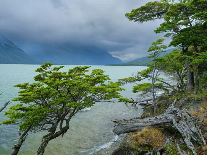 Framed Print : Lago Acigami with lenga beech trees. Landscape in the National Park Tierra del Fuego. South America, Argentina, Patagonia, Tierra del Fuego