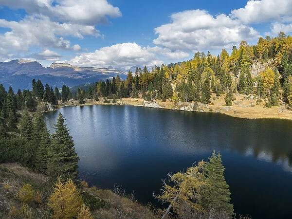 Lago del Colbricon in nature park Paneveggio in the dolomites of Trentino