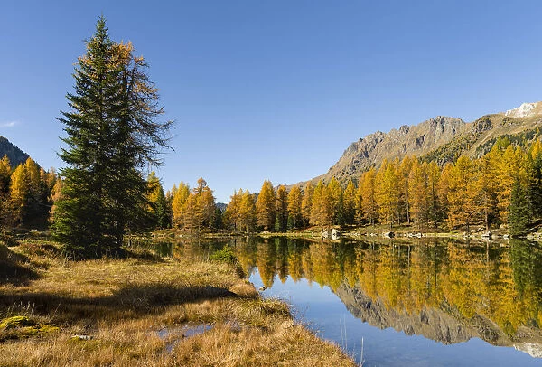 Lago San Pellegrino (Lech de San Pelegrin) during fall at Passo San Pellegrino in the