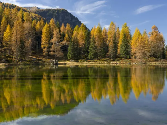 Framed Print : Lago San Pellegrino (Lech de San Pelegrin) during fall at Passo San Pellegrino in Framed Print : Lago San Pellegrino (Lech de San Pelegrin) during fall at Passo San Pellegrino in