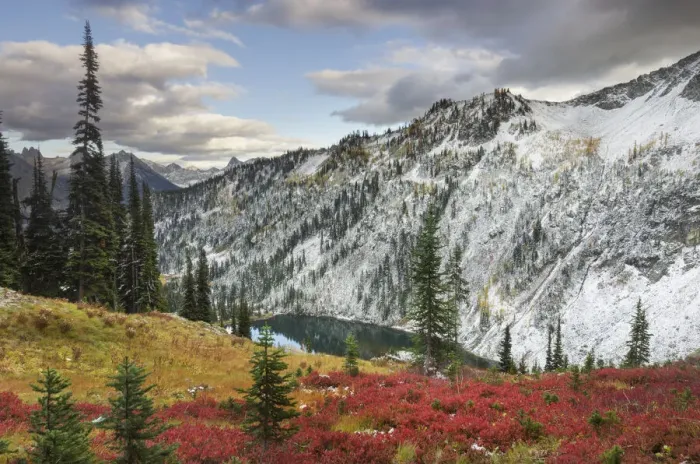 Framed Print : Lake Ann in autumn with fresh snowfall. North Cascades, Washington State Framed Print : Lake Ann in autumn with fresh snowfall. North Cascades, Washington State