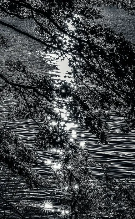 Framed Print : Lake Ashinoko water reflection, Hakone, Kanagawa, Japan. Stars are created in the reflection Framed Print : Lake Ashinoko water reflection, Hakone, Kanagawa, Japan. Stars are created in the reflection