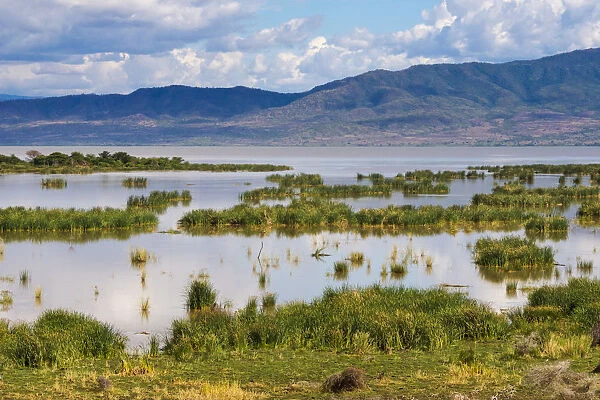 Lake Chamo, Ethiopia